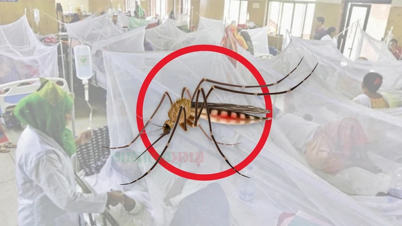 ডেঙ্গুতে আরও ৬ মৃত্যু, হাসপাতালে ১৯৪৮ জন