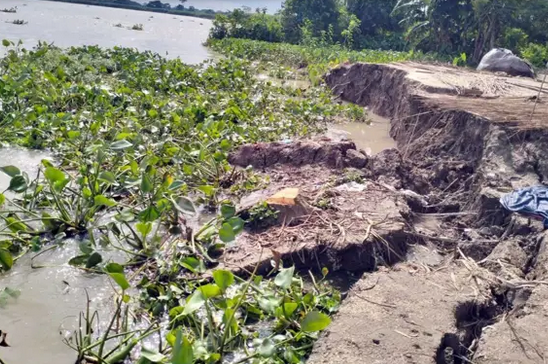 নদীভাঙনে ছোট হয়ে আসছে গৌরনদীর মিয়ার চর