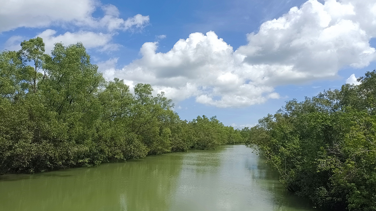 সুন্দরবনে জলবায়ুর কষাঘাত, বিপন্ন উপকূলের জীবন