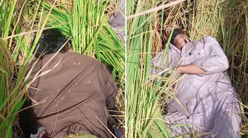পাকিস্তান সীমান্তে বিএসএফের গুলি, নিহত ২