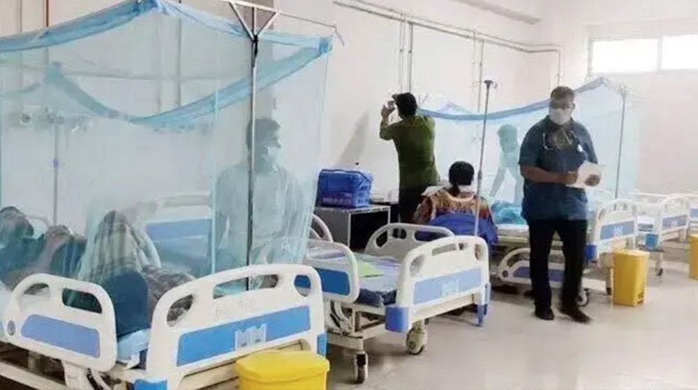 ডেঙ্গুতে ৯ মাসে মৃত্যু দাঁড়াল ২৫০ জনে